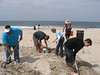 Geniuswork > A PATH FOR PEACE -1 photo